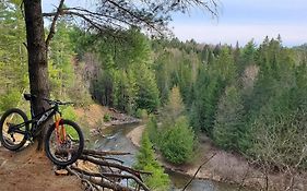 Burke Abode - Trailside Condo With King & Full Beds